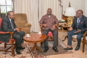 Revealed: Acres of Land and Expensive Property Owned by the Moi Family: The Moi Family is no doubt one of the richest in the Country, owning many acres o