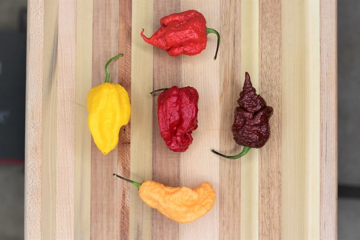 7 Hotter Peppers Than Carolina Reaper