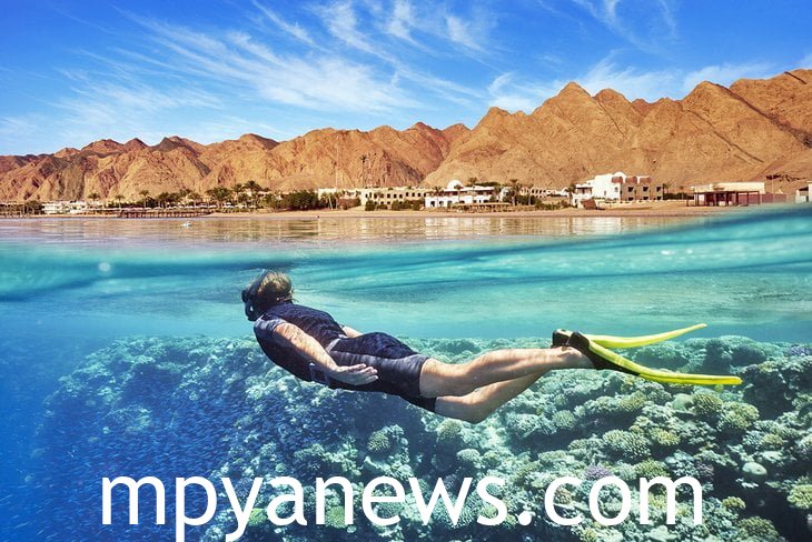 Download Art and Craft Methods Exam Past Paper 6 Download Art and Craft Methods Exam Past Paper Reason why Red Sea is Know by that name. Is it Really Red?