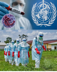 Ebola as a disease spread through kissing