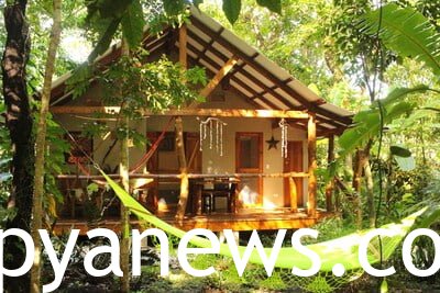 THE MAUI VRBO