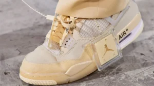 the Jordan 4