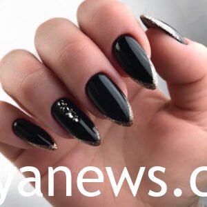 Fall French tip nails classic black and Gold