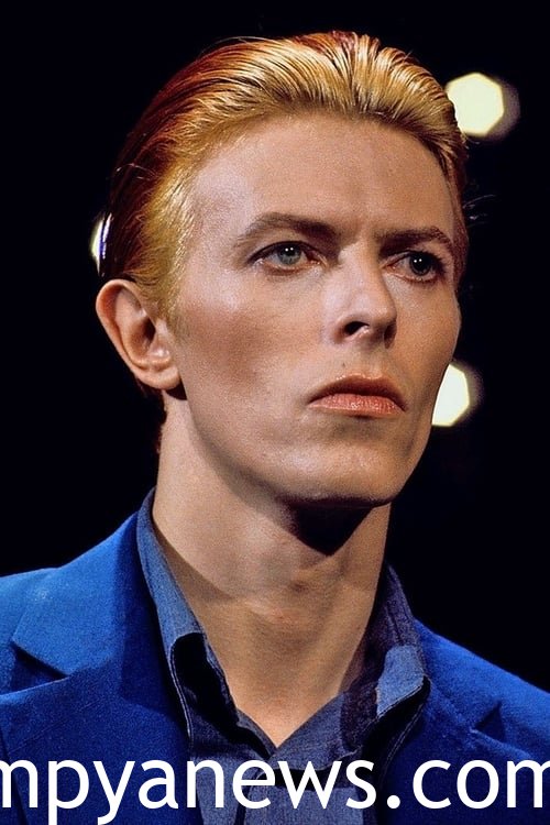 THE david bowie eyes
