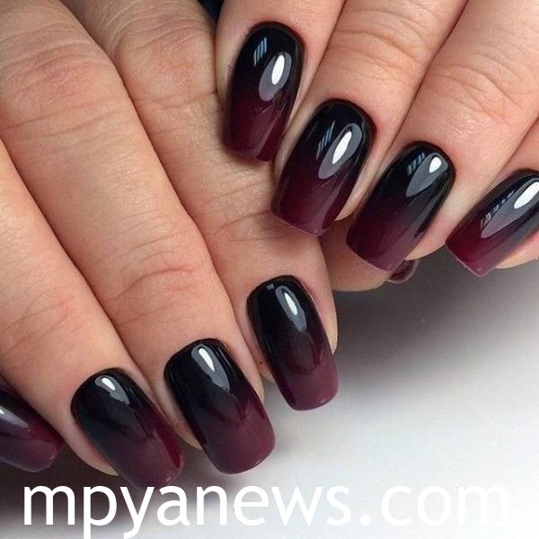 Fall dipped nails ideas Deep Burgundy