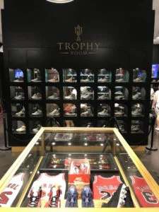 FOR michael jordan house