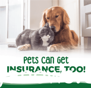 FOR INSURANCE