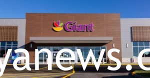 Giant food the giant food corporation