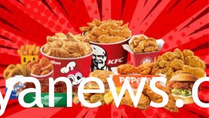 Fast food fried food