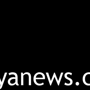 THE LOGO
