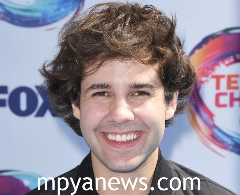 david dobrik gf