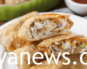 Fast food fried egg rolls