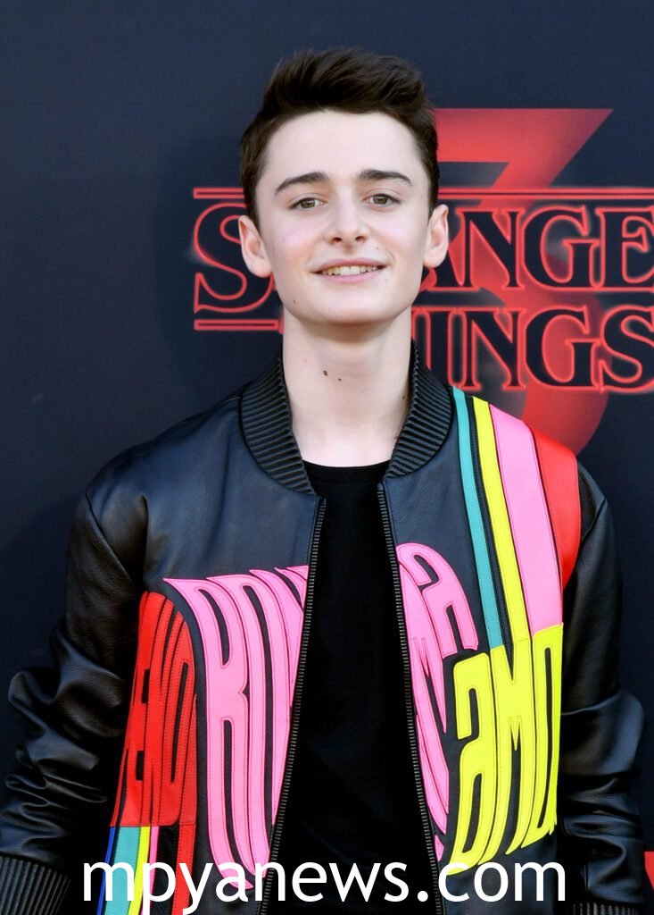 for Noah Schnapp