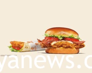 Burger King Menu: sweet and nice
