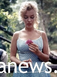 Marilyn Monroe