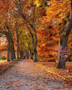 19 Eye-opening Facts About Autumn Season