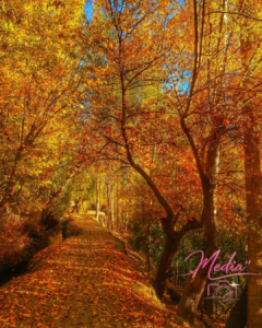 19 Eye-opening Facts About Autumn Season