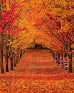 19 Eye-opening Facts About Autumn Season 4 19 Eye-opening Facts About Autumn Season 19 Eye-opening Facts About Autumn Season