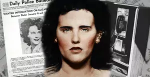 THE Black Dahlia