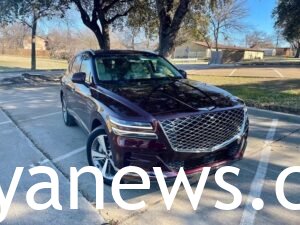 Genesis GV80; Pics and reviews