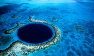FOR Mariana Trench
