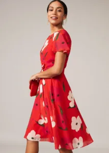 THE Poppy Flower