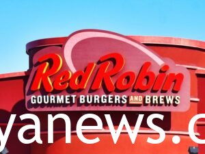 Red Robin