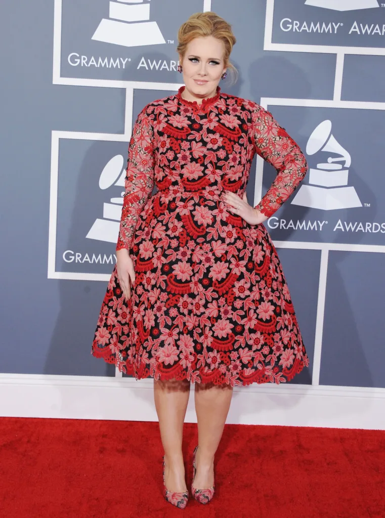 Adele-Stops-Show-to-Call-Out-Security-Guard-for-Bothering-Fan1