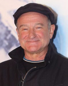 the Robin Williams