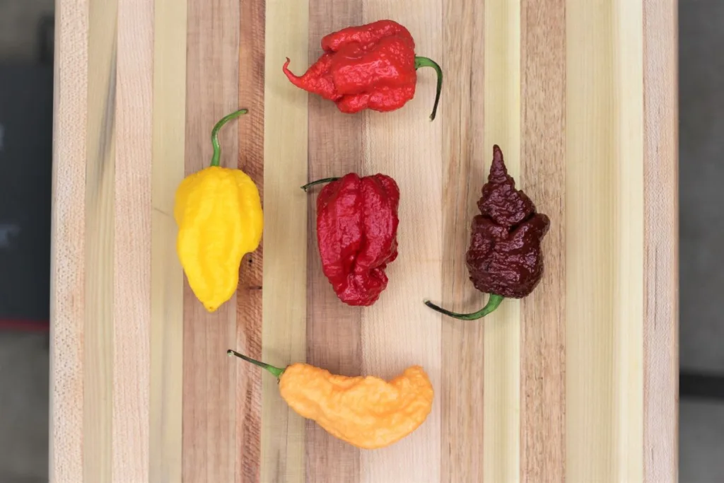 Carolina Pepper: Super-Hot-Peppers
