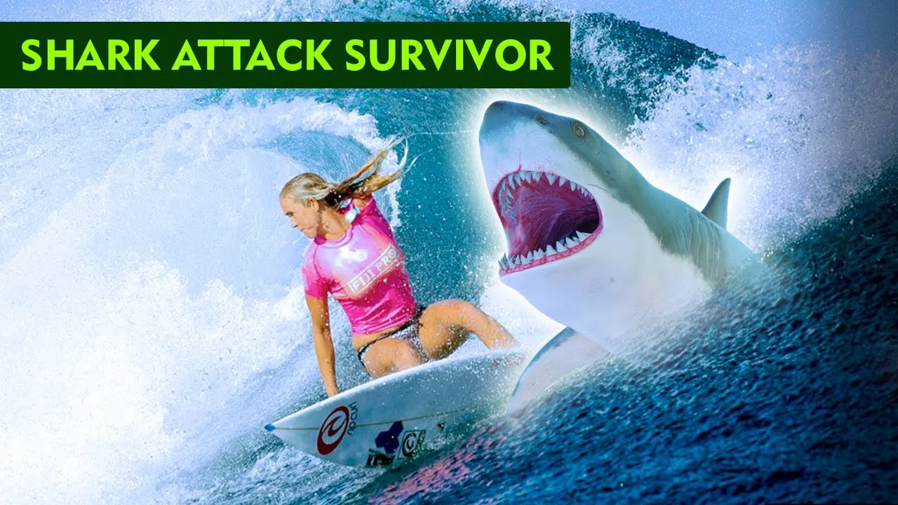 The Story Of Bethany Hamilton And The Shark That Bit Her FAQs MPYA NEWS The Story Of Bethany Hamilton And The Shark That Bit Her FAQs MPYA NEWS