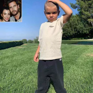 THE Reign Disick