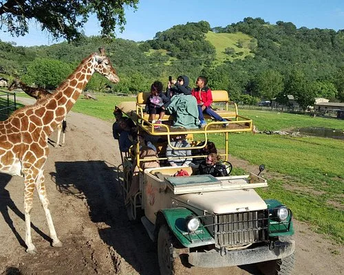 beautiful-garden-tours-jpg.