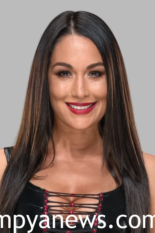 11 Interesting and Untold Facts About Brie Bella