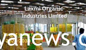 Laxmi Organics Share Price: Industries limited