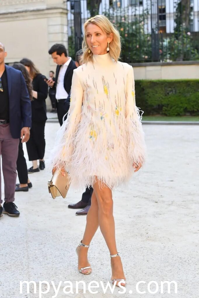 Celine Dion: 16-pound Valentino Gown