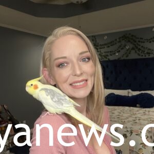 Everything-to-Know-About-the-Shocking-Death-of-TikTok-Star-Ophelia-Nichols-Son-