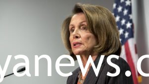 THE Nancy Pelosi