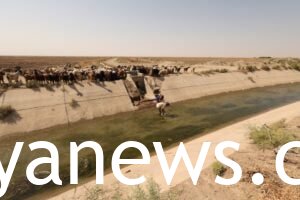 iraq-o.web