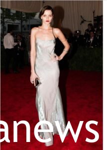 Abbey Lee at the met gala