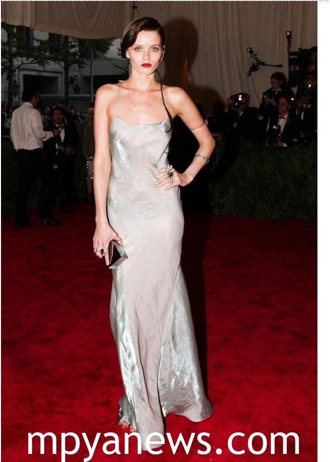 Abbey Lee at the met gala