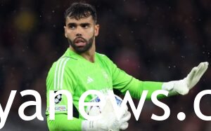 David Raya: Goalkeeper