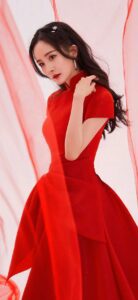 the Yang Mi Dress 