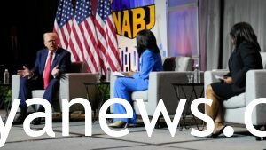 Rachel Scott vs trump where it all started