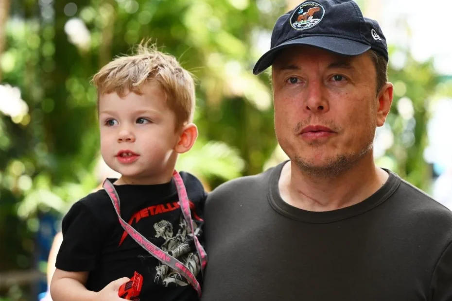 Elon Musk fight to keep custody battle