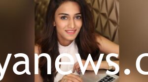 Erica Fernandes facts about her