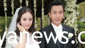 Yang Mi and husband