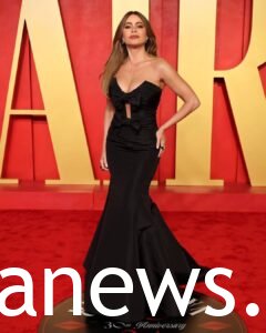 black hot dress Sofia Vergara Red Carpet Dresses