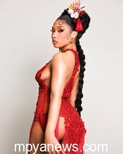 Megan The Stallion: hot, sexy bikini