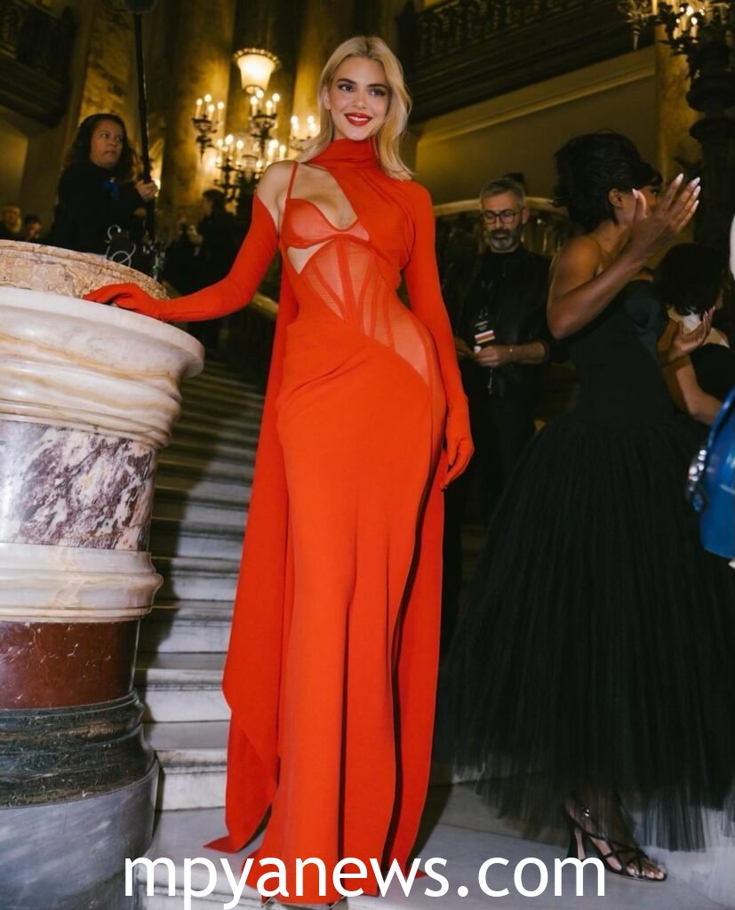 stylish Best of Kendall Jenner Red Carpet Dresses